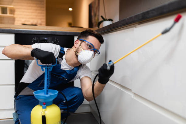 Best Termite Control Services  in Clive, IA