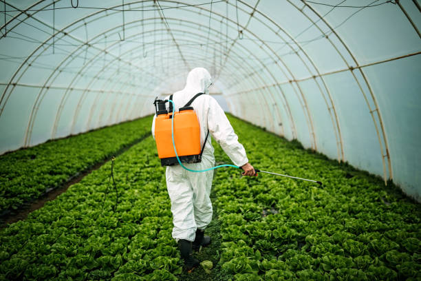 Best Affordable Pest Control Services  in Clive, IA