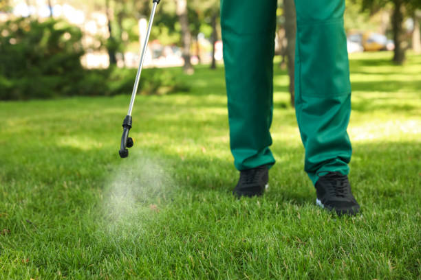 Trusted Clive, IA Pest Control Experts
