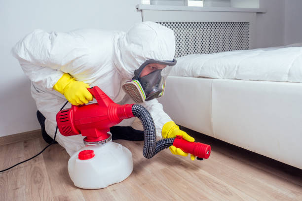 Best Flea Control Services  in Clive, IA