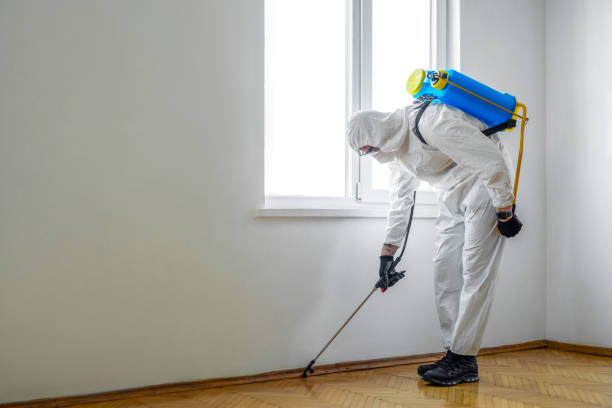 Best Affordable Pest Control Services  in Clive, IA