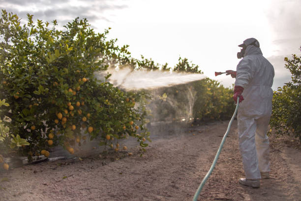 Best Pest Control Near Me in Clive, IA