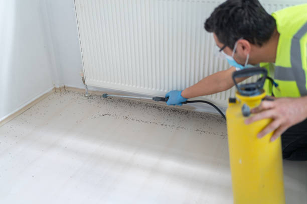 Best Mosquito Control Services  in Clive, IA