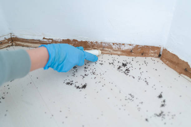 Clive, IA Pest Control Company