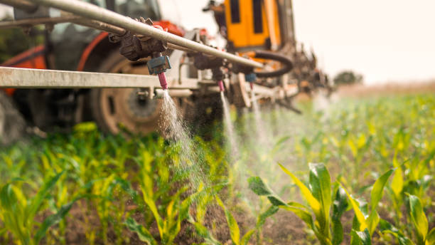 Best Pest Inspection Near Me  in Clive, IA