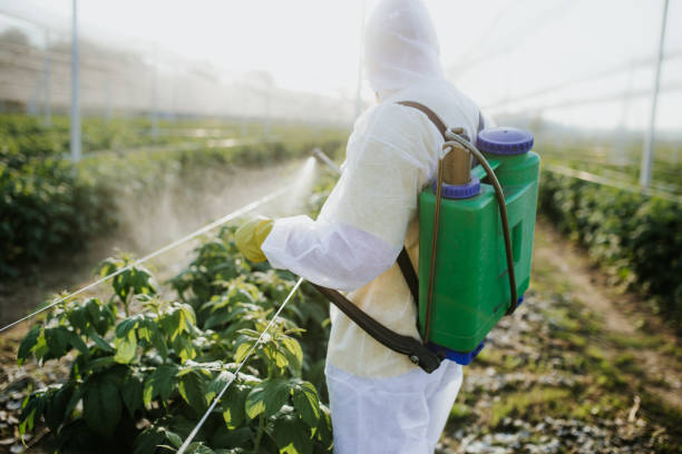 Best Pest Inspection Near Me  in Clive, IA